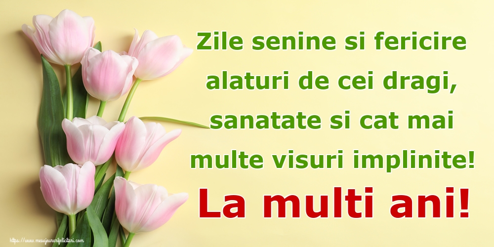 Zile senine si fericire alaturi de cei dragi, sanatate si cat mai multe visuri implinite! La multi ani!