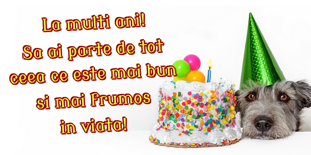 Felicitari de zi de nastere - La multi ani! Sa ai parte de tot ceea ce este mai bun si mai frumos in viata! - mesajeurarifelicitari.com