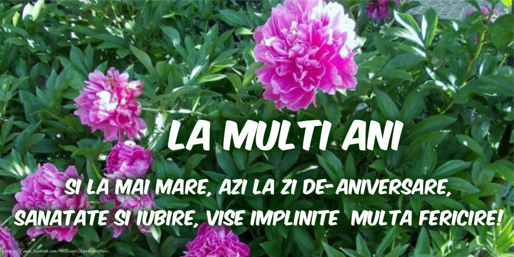 Felicitari de zi de nastere - La multi ani! Si la mai mare, azi la zi de-aniversare, sanatate si iubire, vise implinite, multa fericire - mesajeurarifelicitari.com