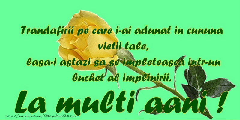 Felicitari de zi de nastere - Trandafirii pe care i-ai adunat in cununa vietii tale, lasa-i astazi sa se impleteasca intr-un buchet de impliniri. La multi aani! - mesajeurarifelicitari.com