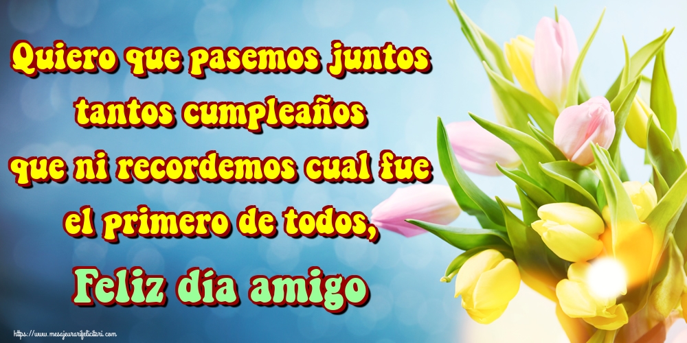 Felicitari de zi de nastere in Spaniola - Quiero que pasemos juntos tantos cumpleaños que ni recordemos cual fue el primero de todos, Feliz día amigo