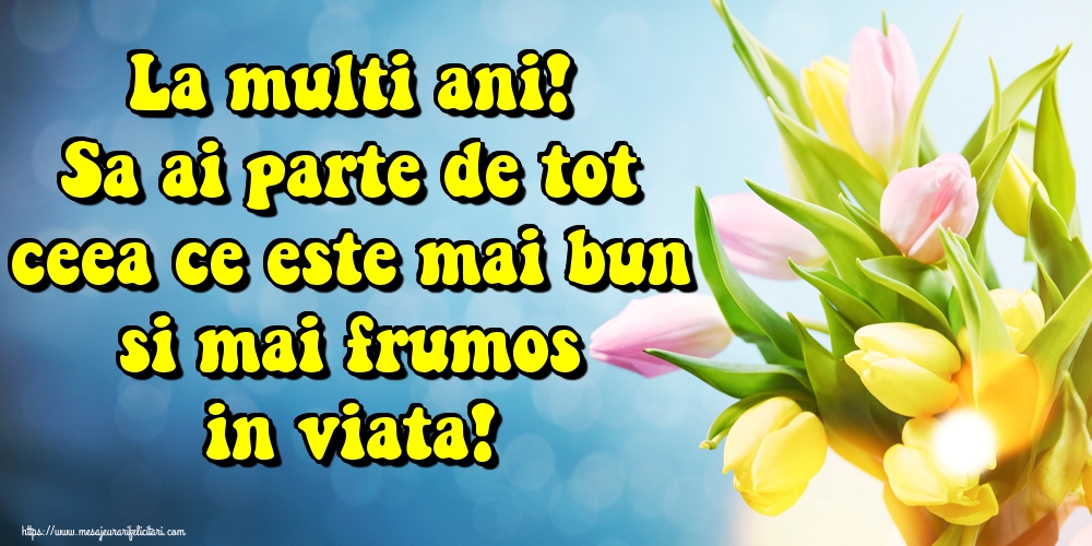 Felicitari de zi de nastere - La multi ani! Sa ai parte de tot ceea ce este mai bun si mai frumos in viata! - mesajeurarifelicitari.com