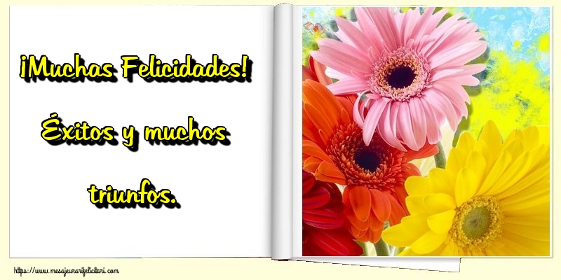 Felicitari de zi de nastere - ¡Muchas Felicidades! Éxitos y muchos triunfos. - mesajeurarifelicitari.com