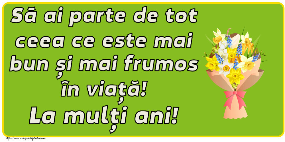 Felicitari de zi de nastere - Să ai parte de tot ceea ce este mai bun și mai frumos în viață! La mulți ani! ~ flori galbene, albe și albastre - mesajeurarifelicitari.com