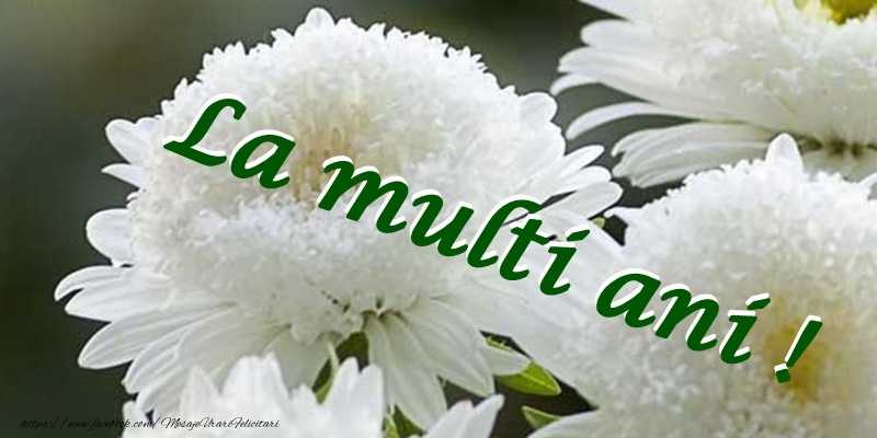 Felicitari de zi de nastere - La multi ani! - mesajeurarifelicitari.com
