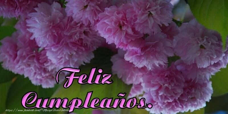 Felicitari de zi de nastere in Spaniola - Feliz Cumpleaños!