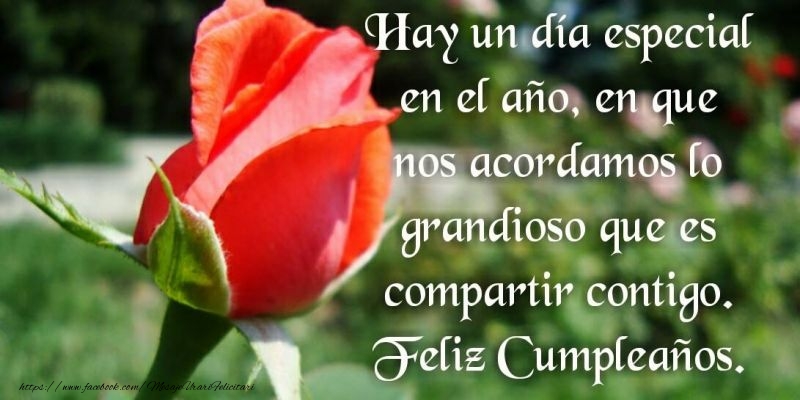 Felicitari de zi de nastere in Spaniola - Feliz Cumpleaños!