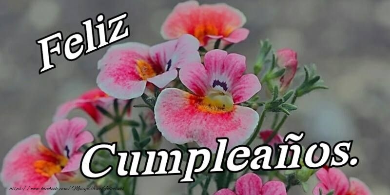 Felicitari de zi de nastere in Spaniola - Feliz Cumpleaños!