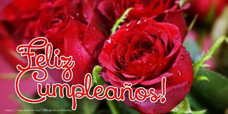 Felicitari de zi de nastere in Spaniola - Feliz Cumpleaños!