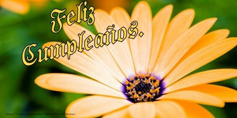 Felicitari de zi de nastere in Spaniola - Feliz Cumpleaños!