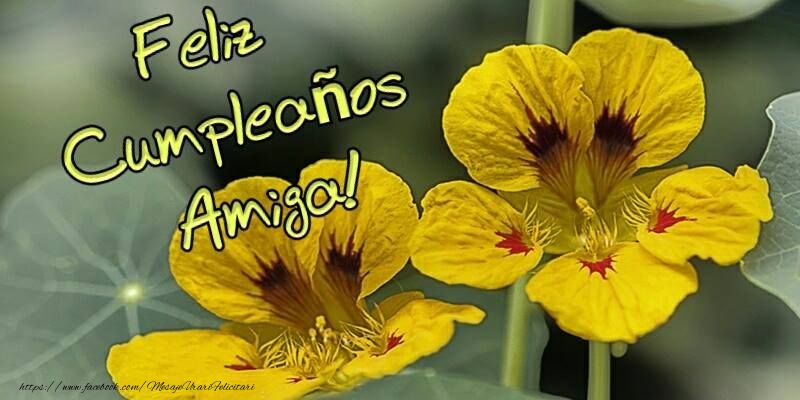 Felicitari de zi de nastere in Spaniola - Feliz Cumpleaños!