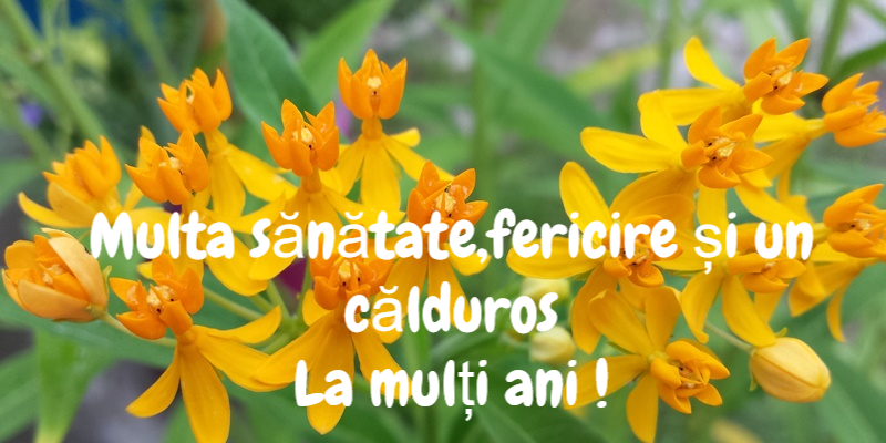 Zi de nastere La multi ani!