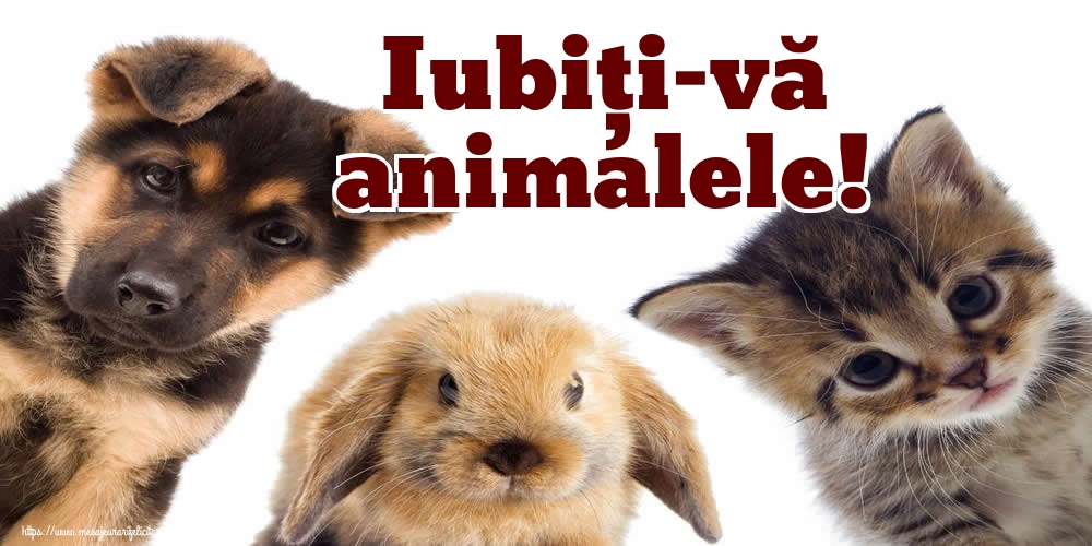 Iubiţi-vă animalele!