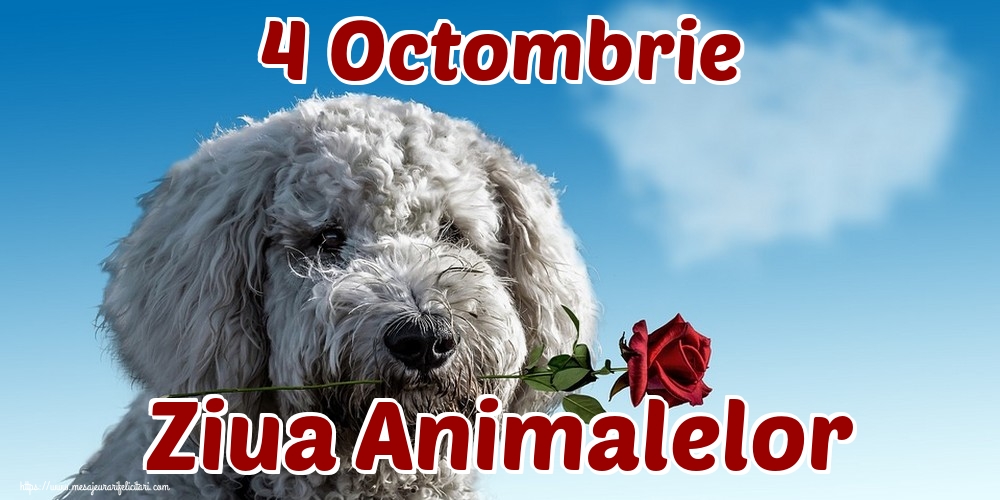 4 Octombrie Ziua Animalelor