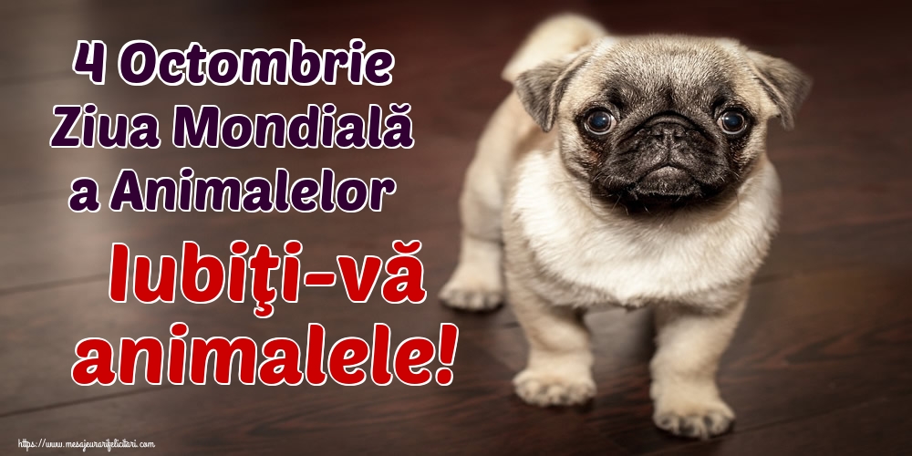 Felicitari de Ziua Animalelor - 4 Octombrie Ziua Mondială a Animalelor Iubiţi-vă animalele! - mesajeurarifelicitari.com