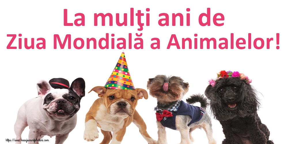 Felicitari de Ziua Animalelor - La mulţi ani de Ziua Mondială a Animalelor! - mesajeurarifelicitari.com