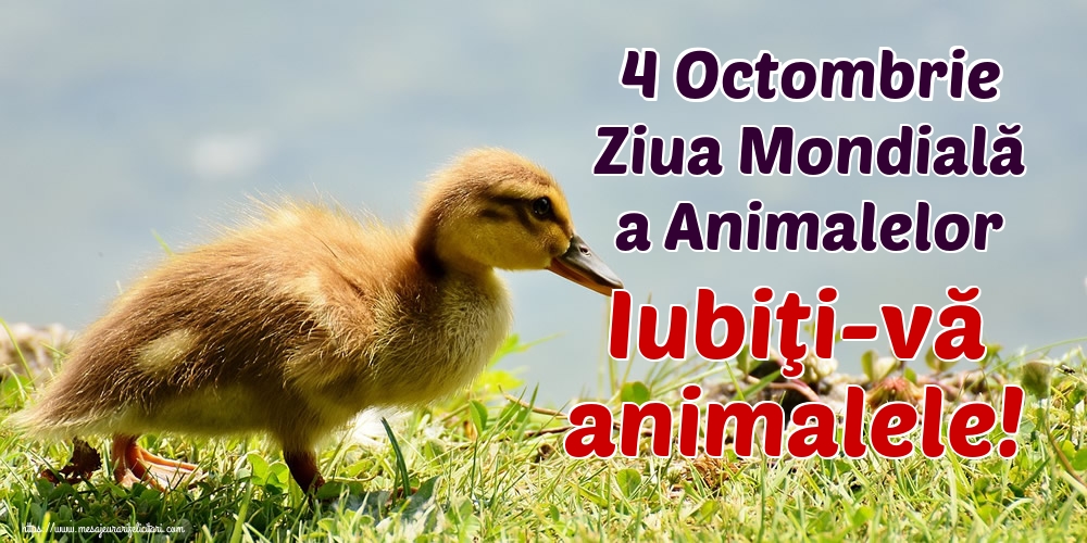 4 Octombrie Ziua Mondială a Animalelor Iubiţi-vă animalele!