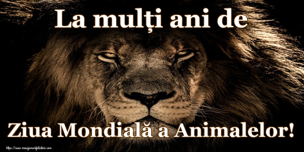 La mulţi ani de Ziua Mondială a Animalelor!