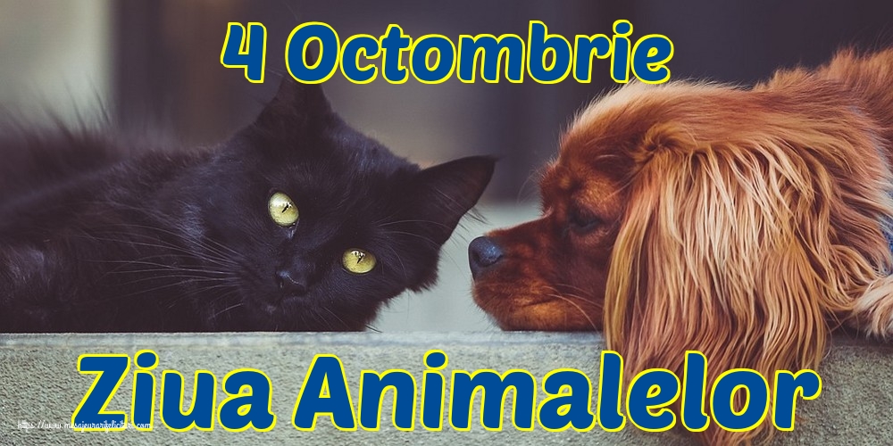 4 Octombrie Ziua Animalelor