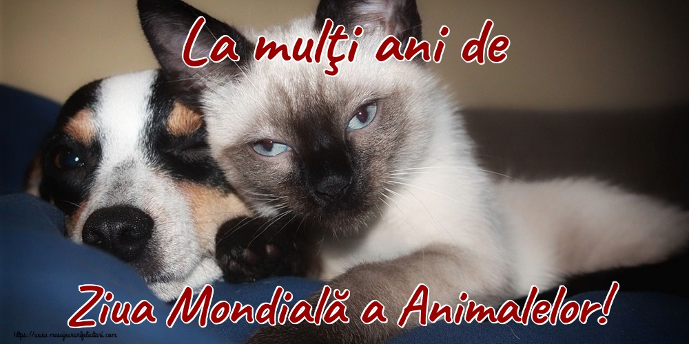 La mulţi ani de Ziua Mondială a Animalelor!