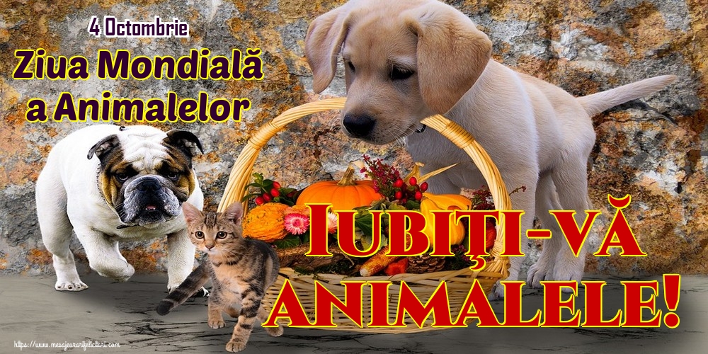 Felicitari de Ziua Animalelor - 4 Octombrie Ziua Mondială a Animalelor Iubiţi-vă animalele! - mesajeurarifelicitari.com
