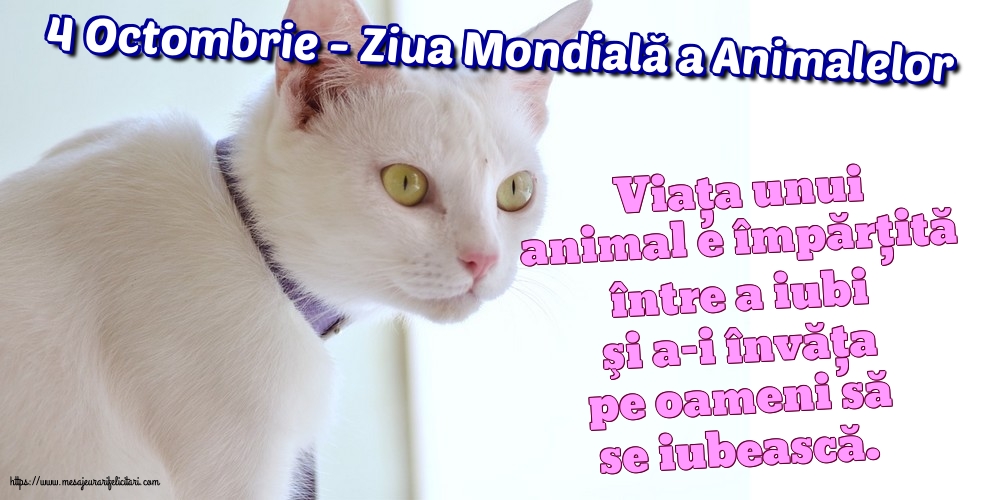 Ziua Animalelor 4 Octombrie - Ziua Mondială a Animalelor