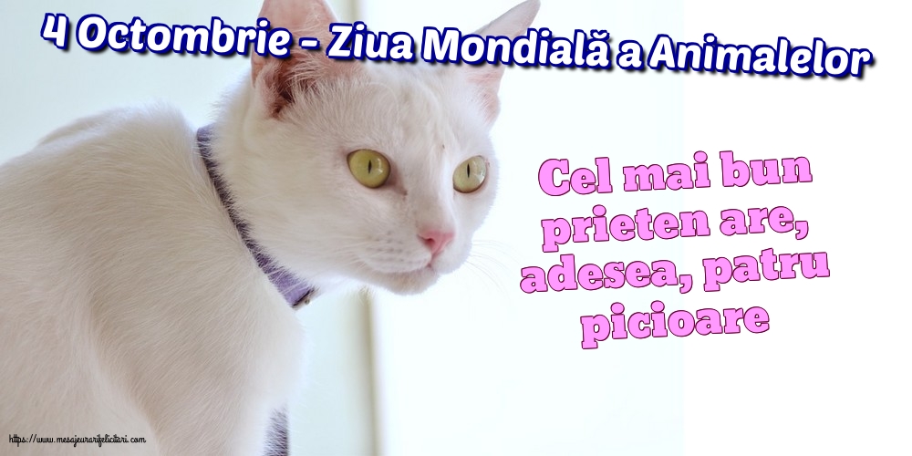 Ziua Animalelor 4 Octombrie - Ziua Mondială a Animalelor