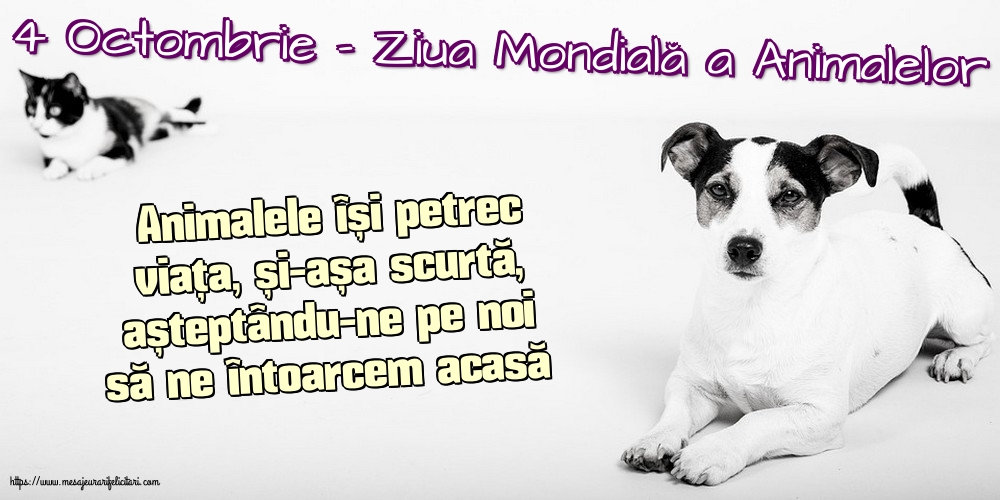 4 Octombrie - Ziua Mondială a Animalelor