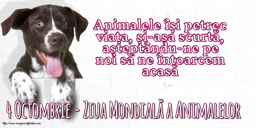 Ziua Animalelor 4 Octombrie - Ziua Mondială a Animalelor