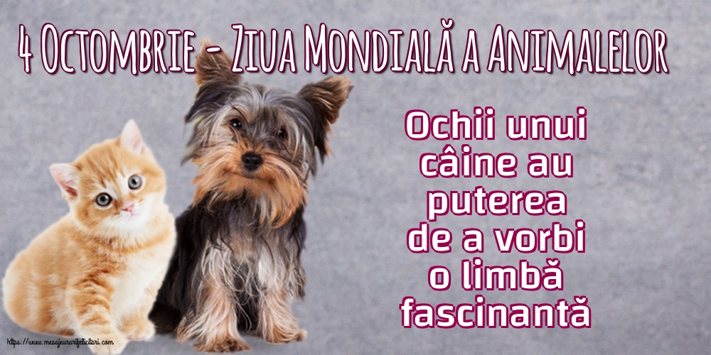 Ziua Animalelor 4 Octombrie - Ziua Mondială a Animalelor