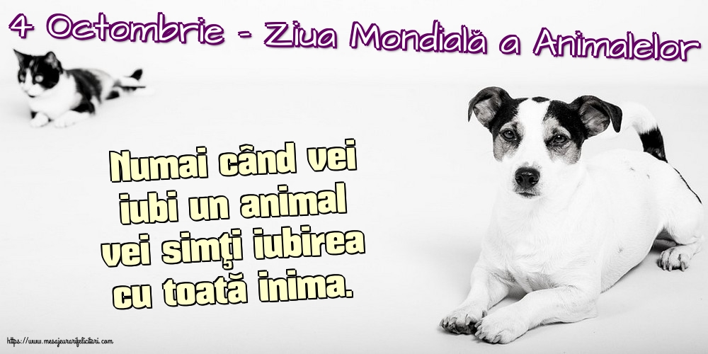 Ziua Animalelor 4 Octombrie - Ziua Mondială a Animalelor
