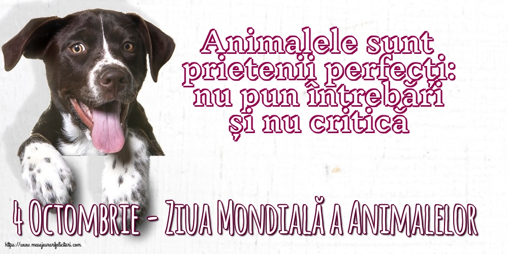 4 Octombrie - Ziua Mondială a Animalelor