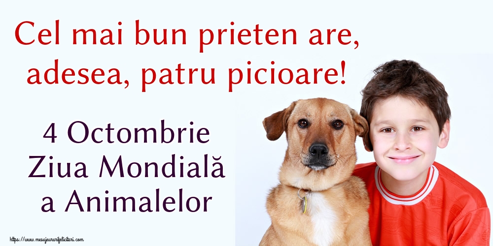 4 Octombrie Ziua Mondială a Animalelor Cel mai bun prieten are, adesea, patru picioare!