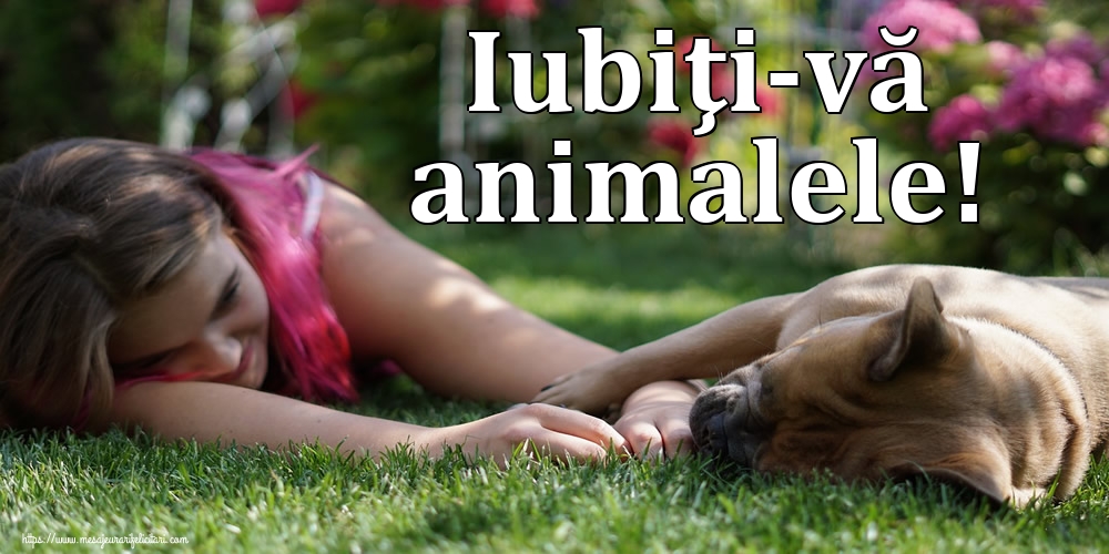 Iubiţi-vă animalele!