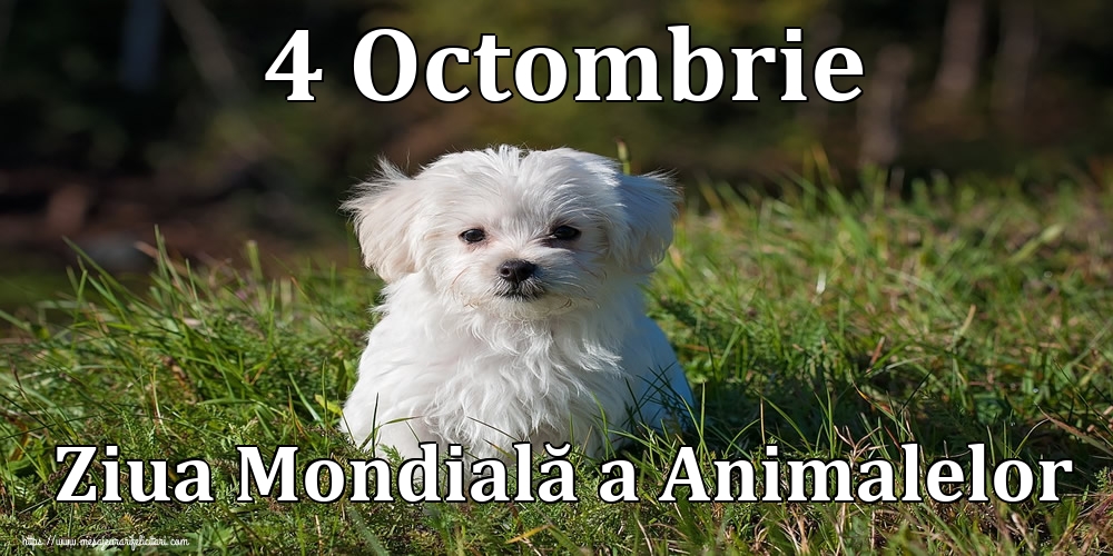 Felicitari de Ziua Animalelor - 4 Octombrie Ziua Mondială a Animalelor - mesajeurarifelicitari.com