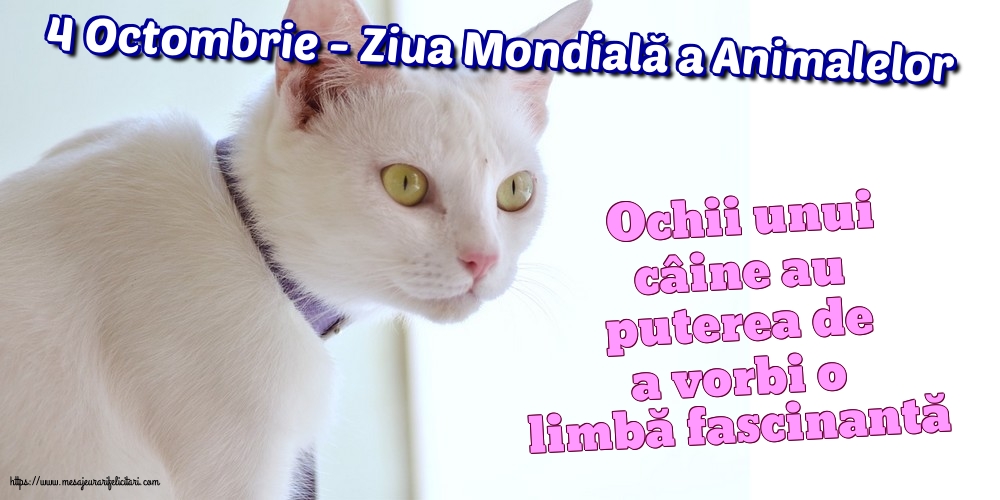 Ziua Animalelor 4 Octombrie - Ziua Mondială a Animalelor