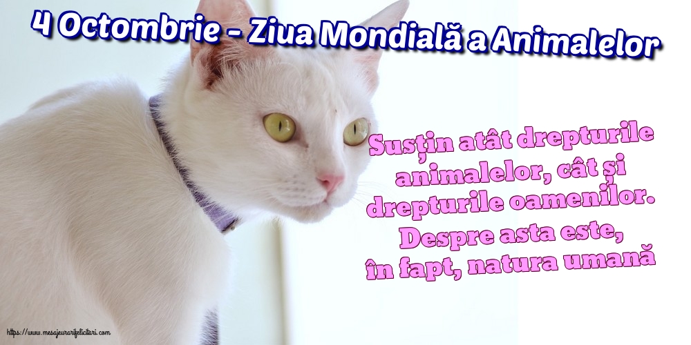 Ziua Animalelor 4 Octombrie - Ziua Mondială a Animalelor
