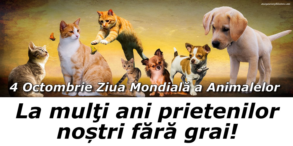 Ziua Animalelor La mulţi ani prietenilor noștri făra grai!