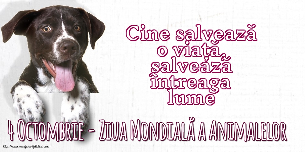 4 Octombrie - Ziua Mondială a Animalelor