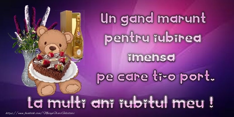 Un gand marunt pentru iubirea imensa pe care ti-o port. La multi ani iubitul meu!