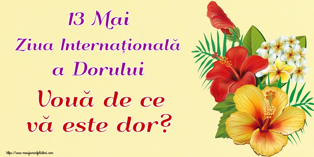 13 Mai Ziua Internaţională a Dorului Vouă de ce vă este dor?