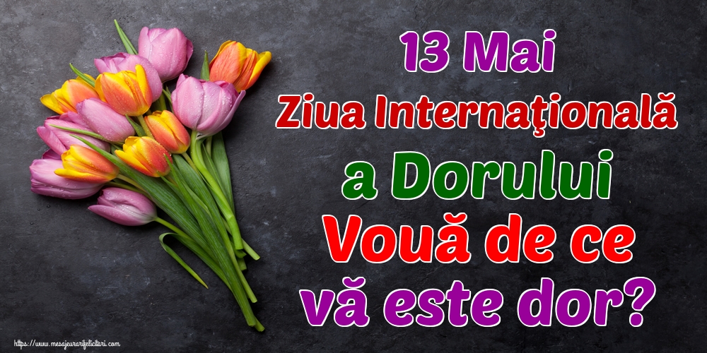 13 Mai Ziua Internaţională a Dorului Vouă de ce vă este dor?