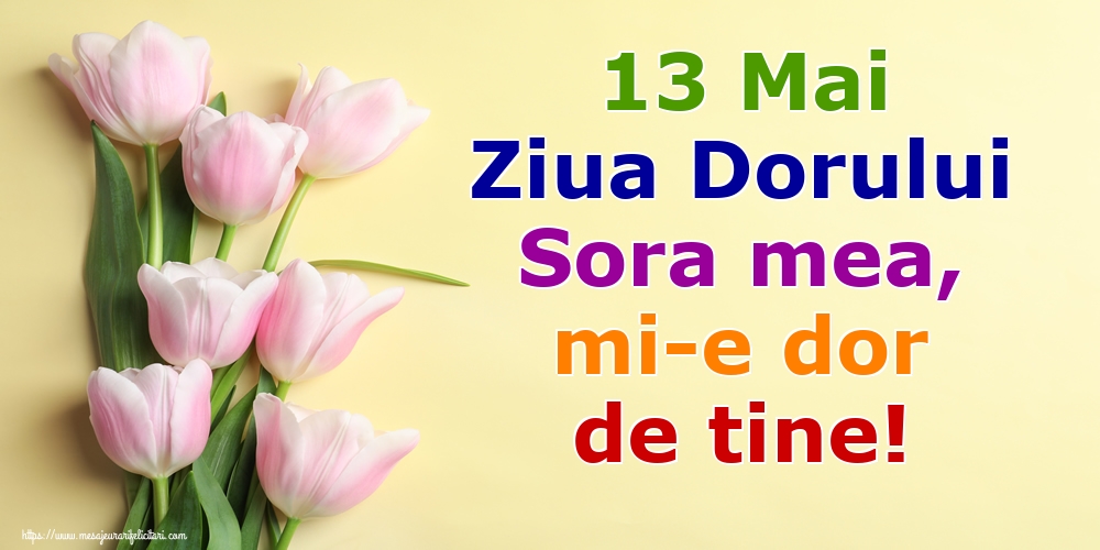13 Mai Ziua Dorului Sora mea, mi-e dor de tine!