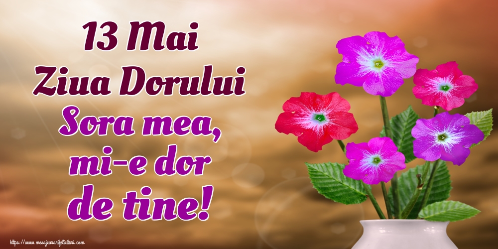 13 Mai Ziua Dorului Sora mea, mi-e dor de tine!