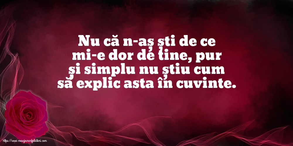 Ziua Dorului Nu că n-aș ști de ce mi-e dor de tine...
