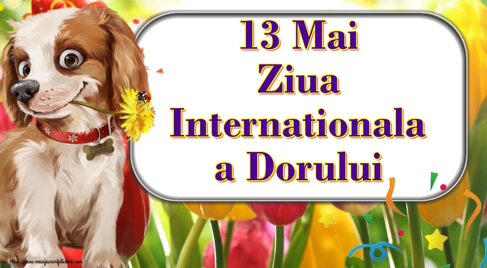 13 Mai Ziua Internationala a Dorului