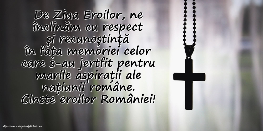 Cinste eroilor României!