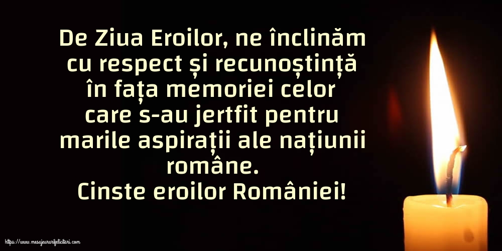 Ziua Eroilor Cinste eroilor României!