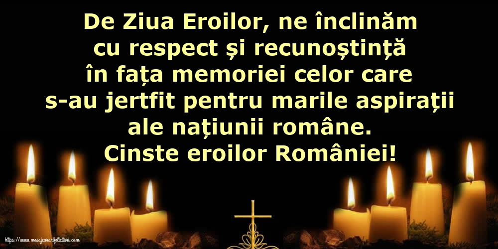 Cinste eroilor României!