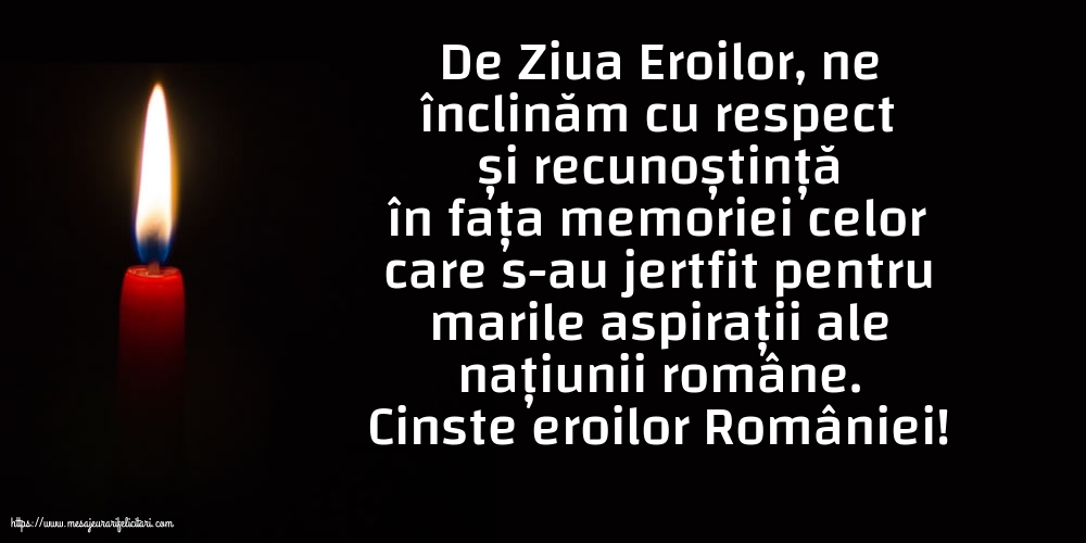 Cinste eroilor României!